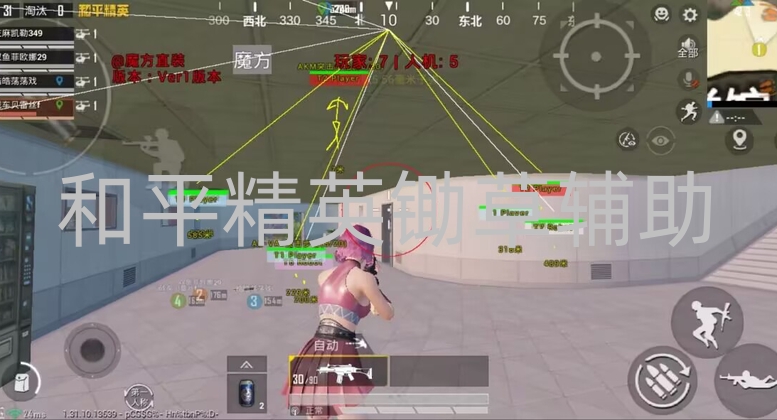 和平精英锄草辅助让人又爱又恨？实际效果竟